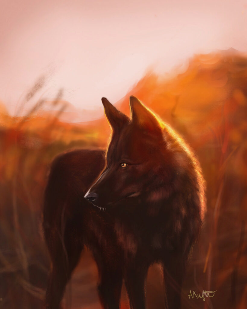 Blaze