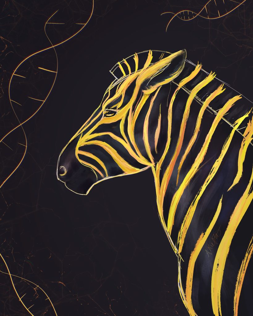 In Honor of Zebras in Medicine (Rare Disease Awareness)