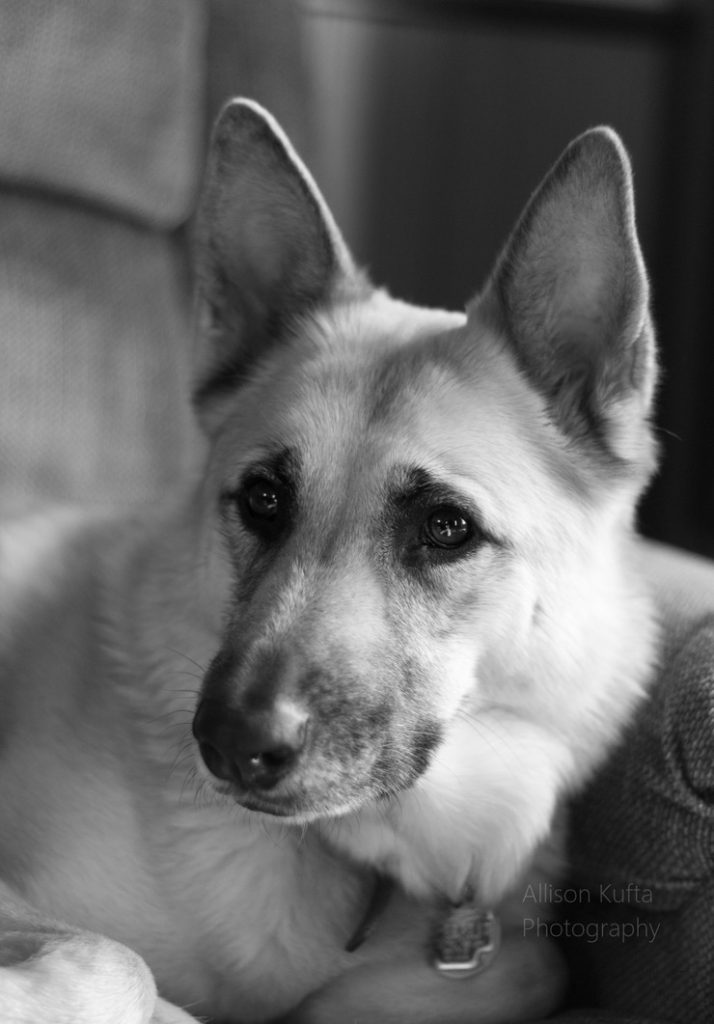 Sadie